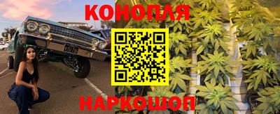 мяу мяу мука Бузулук